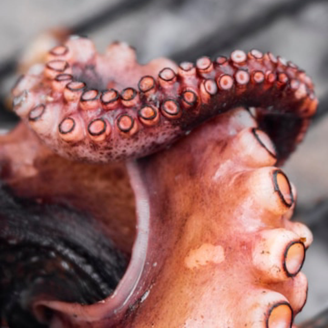 Poulpe Cuit - Pulpo Cocido Conservas Zallo, 140 - 160g